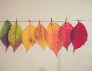 Herfstvakantie